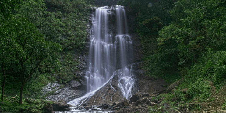 A serene waterfall flowing in a lush green forest.