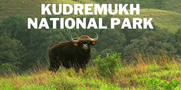 Kudremukh National Park