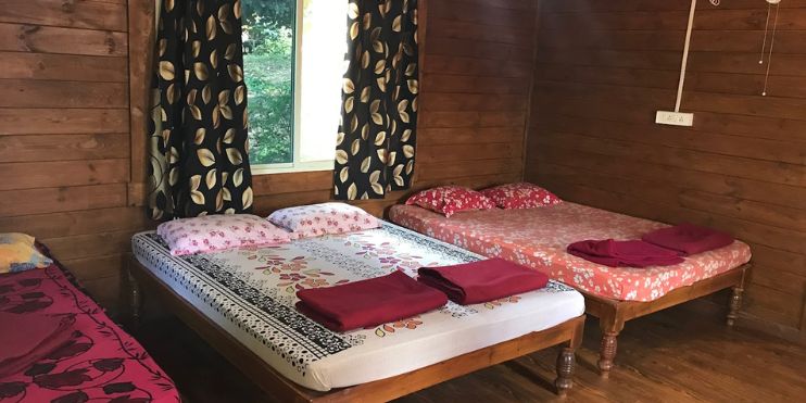 Three cozy beds in a wooden cabin with curtains at Ranga Taana Resort Chikmagalur, offering comfort and luxury in various accommodation options.