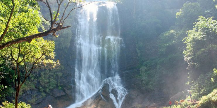 A serene waterfall cascades through lush greenery, with people admiring its beauty from a distance.