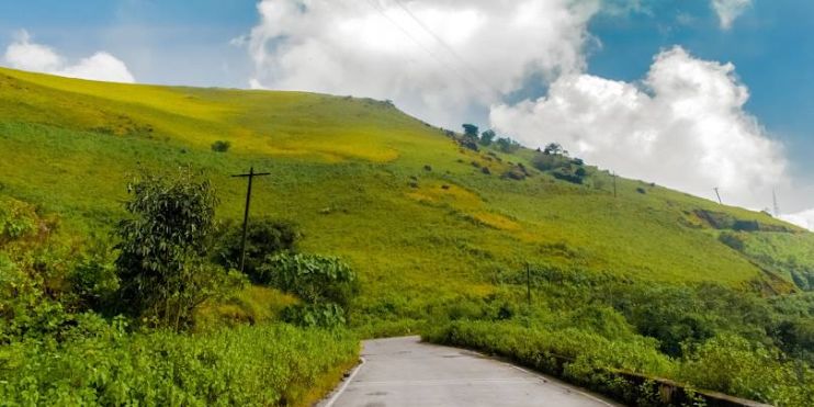 A winding road through lush green hills in Chikmagalur, Karnataka, known for its coffee plantations, pleasant climate, and picturesque landscapes.