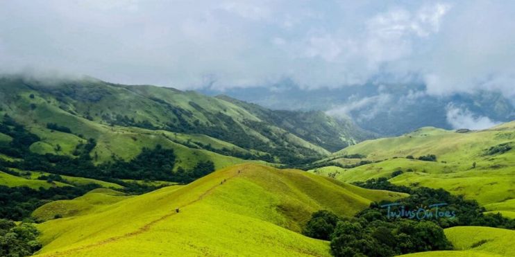 A serene landscape with a lush green hill covered in grass and surrounded by trees.