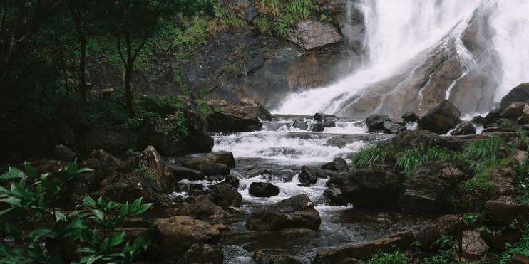 A lush green forest with a waterfall in the middle.