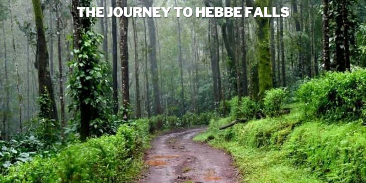 A serene waterfall surrounded by lush greenery, the journey to Herbe Falls is a peaceful escape into nature's beauty.