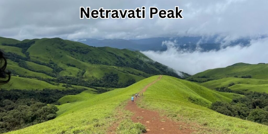 Netravati Peak Trek: A Journey Through Karnataka's Untamed Wilderness