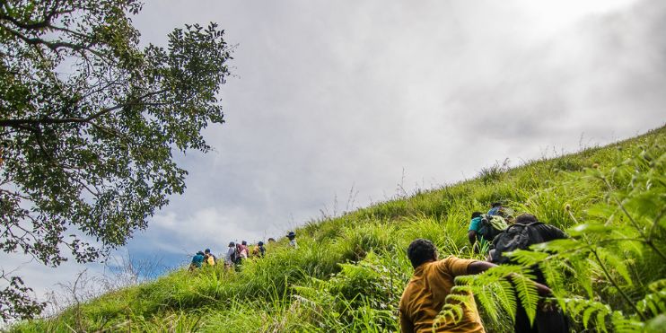 People trekking up a steep hill covered in green grass, surrounded by dense forest. The sound of waterfalls in the background.