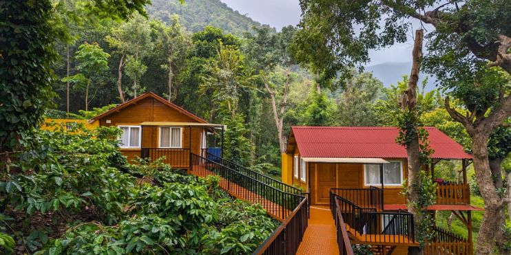 Two wooden cabins nestled in lush forest at Ranga Taana Resort, Chikmagalur. Experience luxury and nature in perfect harmony.