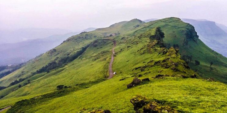 A winding road through the green mountain of Baba Budangiri, a pilgrimage site and trekking destination near Kemmangundi.