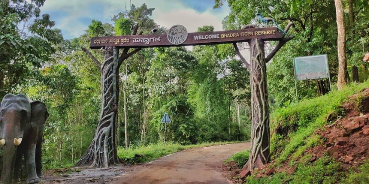 Entrance to Bhadra Wildlife Sanctuary, featuring lush greenery and a welcoming sign for the elephant sanctuary.