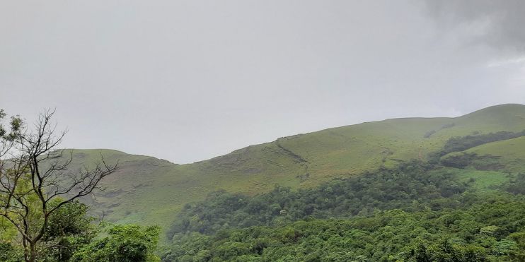 A view of the mountains from a hillside at Kemmangundi Peak, showcasing the rich biodiversity of the Western Ghats.