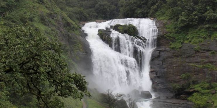 A stunning waterfall cascades through a vibrant green forest, showcasing nature's beauty and tranquility.