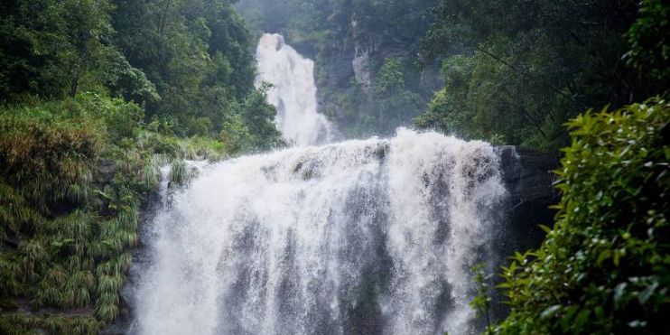 A large waterfall in the jungle, Hebbe Falls, divided into Dodda Hebbe (Big Falls) and Chikka Hebbe (Small Falls), accessible via trek or jeep ride.