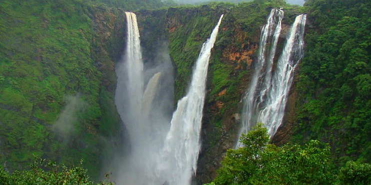 Jog Falls, a majestic waterfall, flows powerfully amidst a dense forest, showcasing nature's beauty and tranquility.