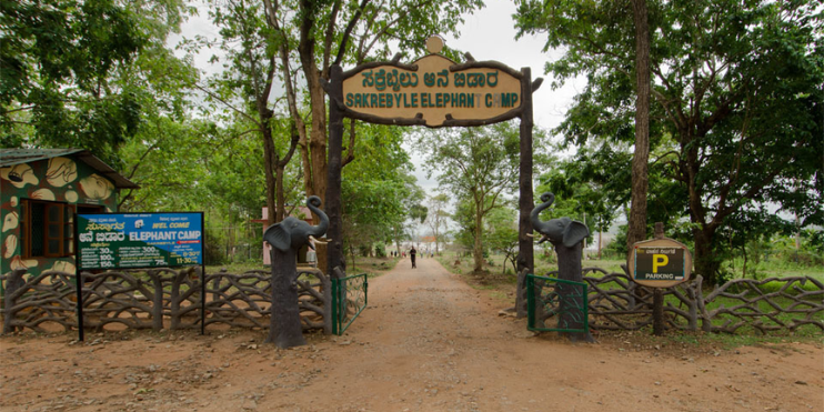 Entrance to Sakrebailu Elephant Camp park featuring a sign that reads "The Forest," inviting visitors to explore nature.