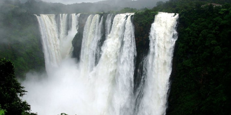 A stunning view of multiple waterfalls cascading through the lush greenery of Sharavathi Wildlife Sanctuary's forest.