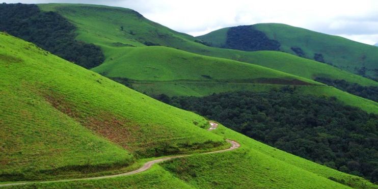 A winding road on a green hillside with grass, leading to Kemmangundi Peak in Karnataka, India.