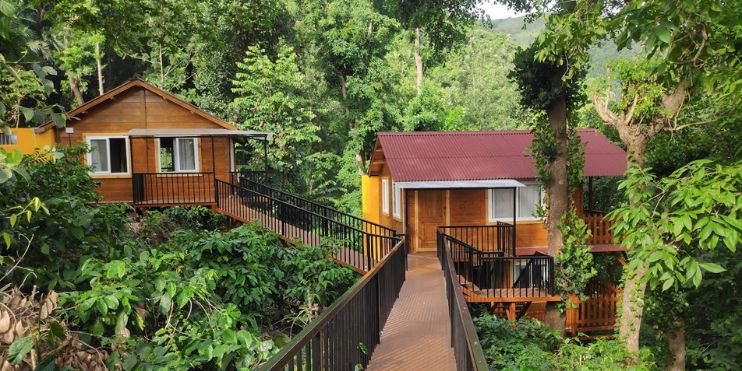 Two wooden cabins nestled in a lush forest, offering a serene retreat in nature's embrace. Perfect for relaxation and adventure.