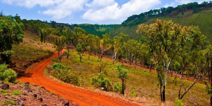 A dirt road winds through a lush green hillside, leading to a serene waterfall surrounded by dense forests and coffee plantations.