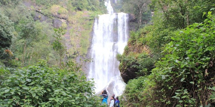 People ascend a scenic path leading to a stunning waterfall, surrounded by lush greenery in the Kemmangundi region.