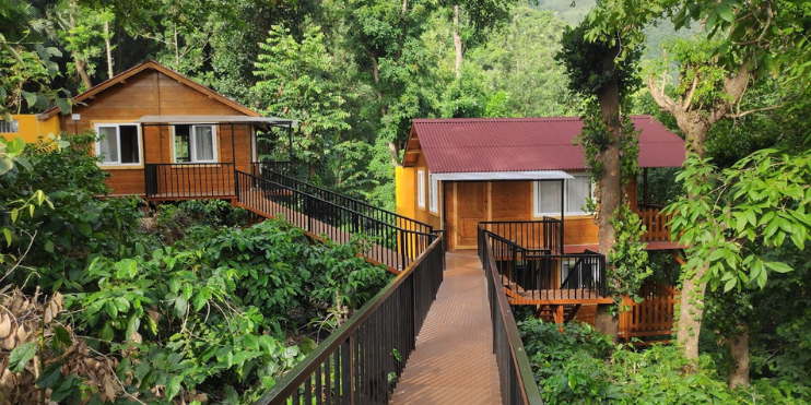 Two wooden cabins nestled in the lush jungle, showcasing the serene luxury resorts in Chikmagalur.