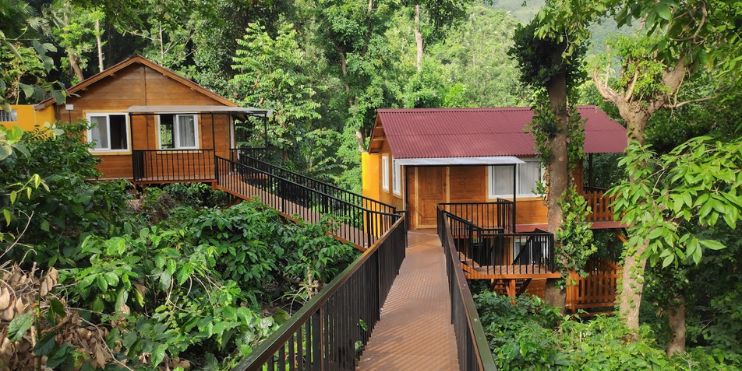 Two rustic wooden cabins nestled in a lush forest, surrounded by vibrant greenery and rolling hills of the Western Ghats.