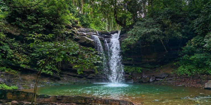 A serene jungle waterfall surrounded by lush green trees and rocky terrain, showcasing nature's beauty and tranquility.