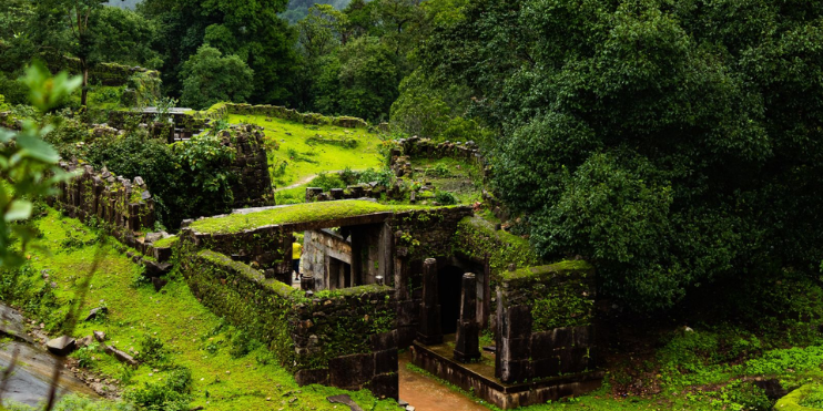 Ancient ruins enveloped by lush jungle, featuring trees and grass, showcasing nature's beauty in the Agumbe Rainforest.