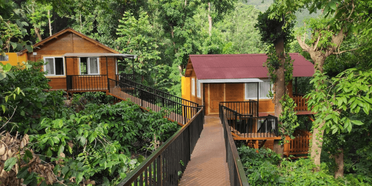 Two wooden houses nestled in a lush forest, showcasing a tranquil retreat surrounded by nature's beauty.