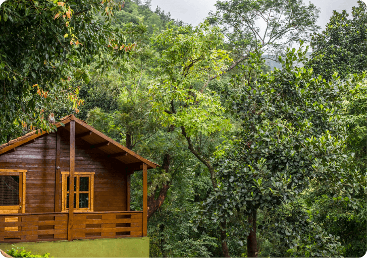 A quaint wooden cabin nestled among vibrant green trees, showcasing a serene natural setting.