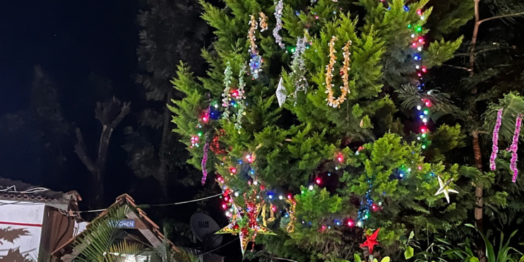 A beautifully lit tree adorned with garlands, creating a festive atmosphere for your Christmas stay