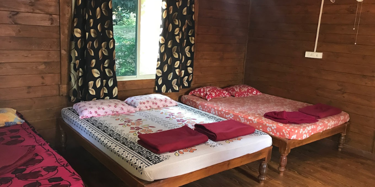 Three cozy beds in a wooden cabin adorned with curtains, offering a warm and inviting atmosphere for relaxation.