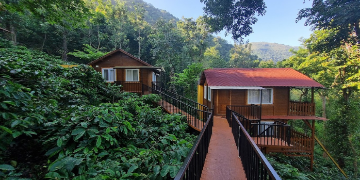 Two wooden cabins nestled in a lush forest, embodying a serene and romantic retreat in nature's embrace.