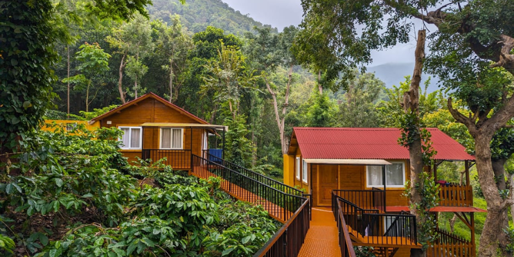 Two wooden cabins nestled in a lush forest, surrounded by greenery, offering a serene and tranquil retreat experience.