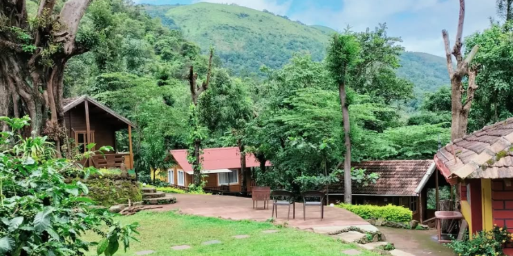 Cottages nestled in a lush forest, ideal for trekking enthusiasts seeking comfort and nature's beauty.