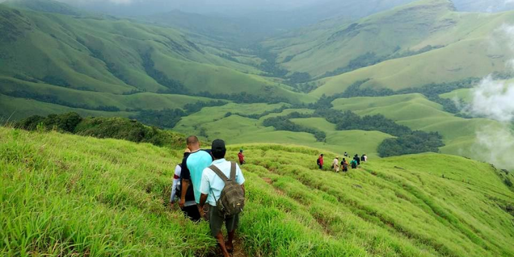 Hikers ascend a mountain in a lush rainforest, surrounded by vibrant greenery and scenic views on the Kudremukh Trek.