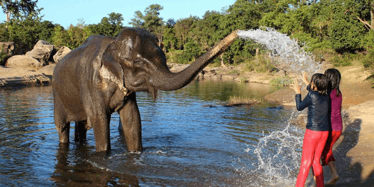 A woman and a child joyfully interact with a gentle elephant at Sakrebyle Elephant Camp, surrounded by lush greenery.