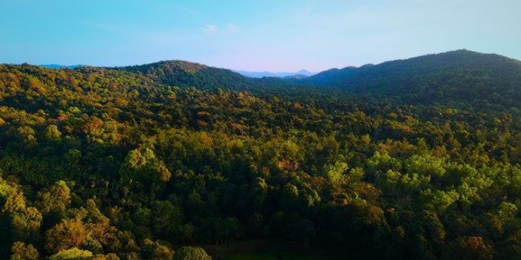 Aerial view of Agumbe's dense autumn forest, showcasing vibrant foliage and the misty landscape of the Western Ghats.