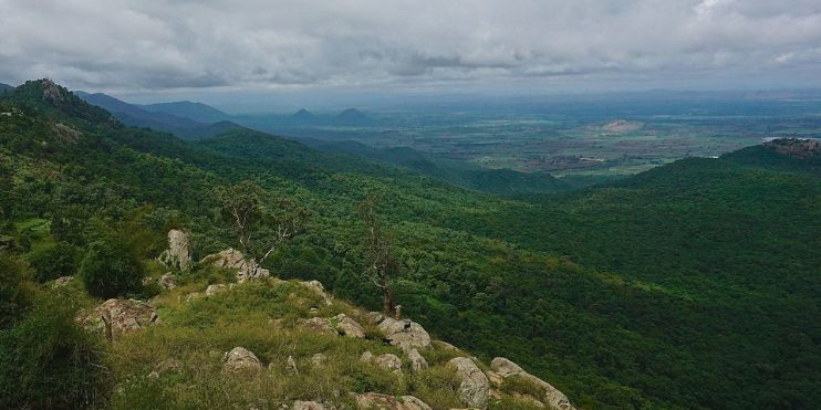 A panoramic view from the Biligiri Rangan Hills, showcasing mountains, valleys, and lush forests under a clear sky.