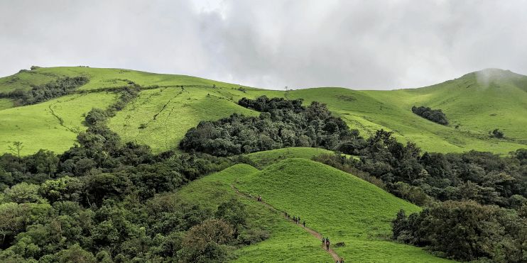 A lush green hill with trees and grass, representing the scenic beauty of Kodachadri in the Western Ghats.