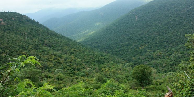 Scenic view of lush green mountains and forests from a sacred hill retreat in Karnataka's Eastern Ghats.