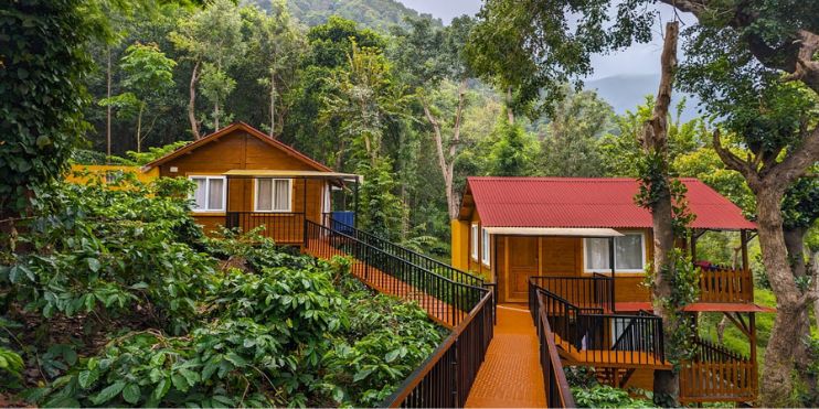 Two wooden cabins nestled in a lush forest, surrounded by greenery, representing a tranquil escape in Chikmagalur.
