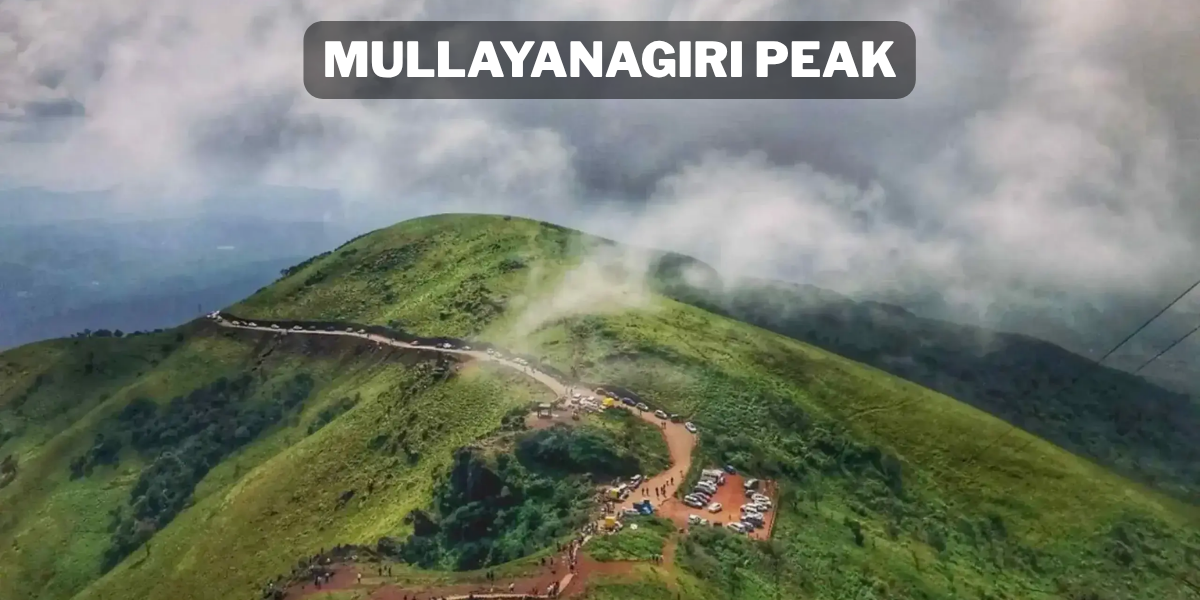 Feature Image