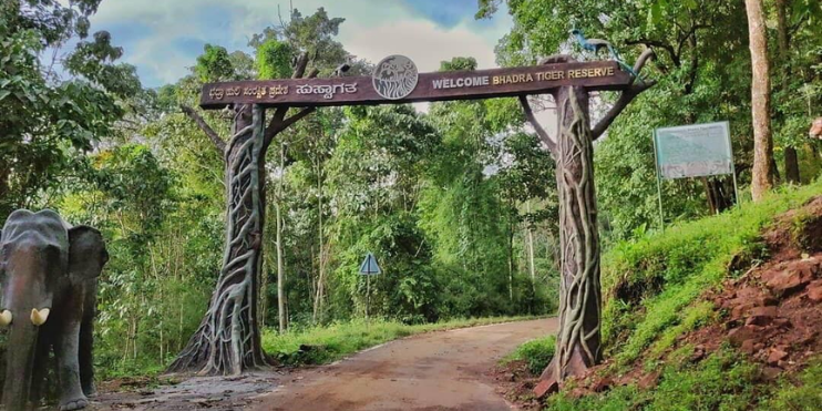 The entrance to the elephant sanctuary in Kerala, featuring a welcoming archway surrounded by lush greenery.