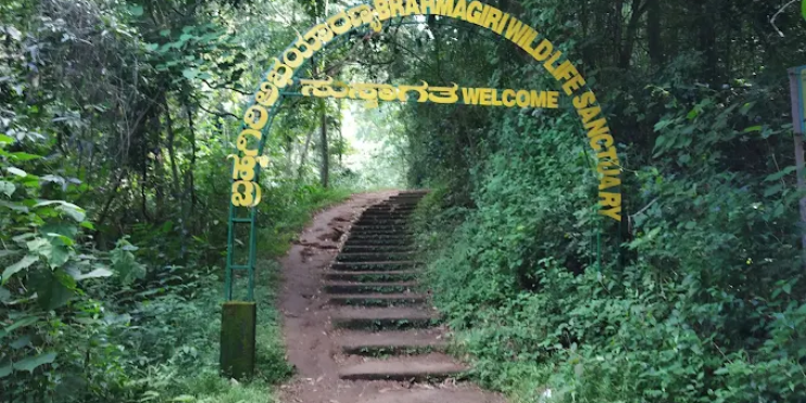 A path leading to a sign that reads 'Kodaikanal', surrounded by lush greenery and inviting natural scenery.