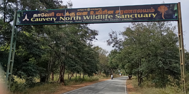 Cauvery Wildlife Sanctuary, showcasing diverse fish and bird species, ideal for nature walks and scenic picnics near Bangalore.