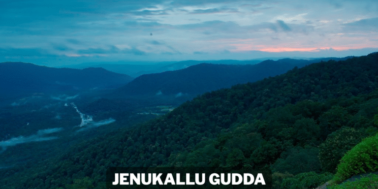 Feature Image