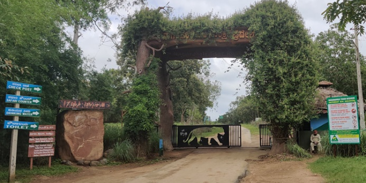 Entrance to Nagarhole National Park, framed by lush trees, inviting visitors to explore its wildlife and natural beauty.
