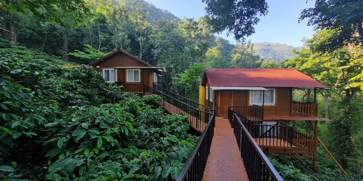 Two wooden cabins nestled in a lush forest, offering a serene retreat at Ranga Taana Resort in Kemmangundi.