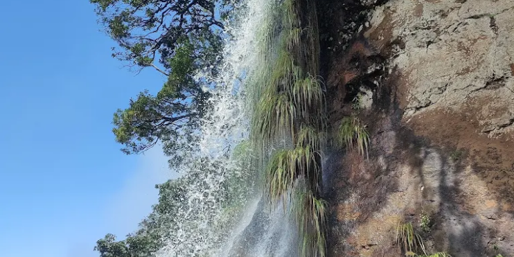 Best Time to Visit Manikyadhara Falls