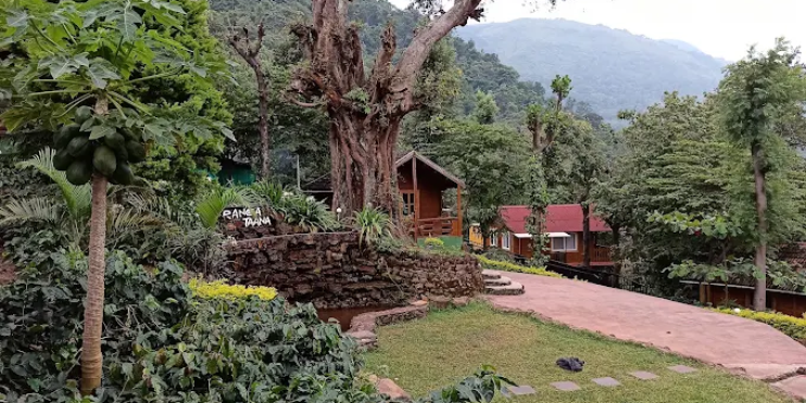 Planning Your Stay at Ranga Taana